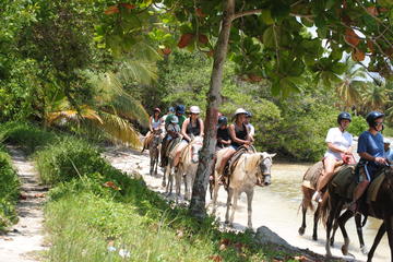 Punta Cana Horseback Riding Adventure