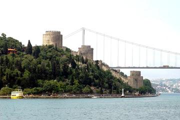 Cruise on the Bosphorus with Private Yacht