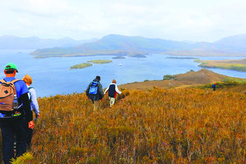 7 Days in Tasmania