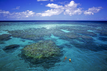7 night Great Barrier Reef cruise