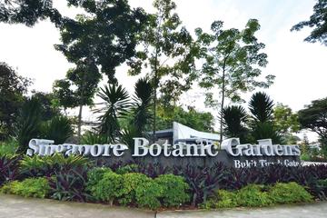 Half-Day Singapore Botanic Gardens Tour