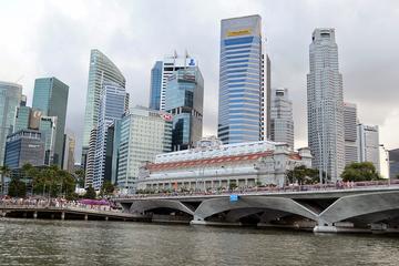 Private Group Half-Day Singapore Discovery Tour