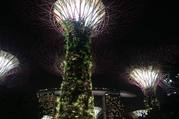 Singapore Private Night Tour