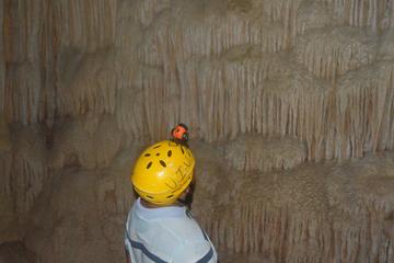 Extreme Cave-tubing