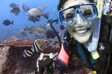 Byron Bay 3-Hour Certified Dive Tour