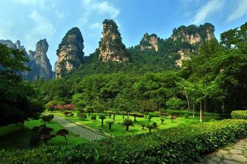 Full Day Zhangjiajie National Forest Park Small Group Tour