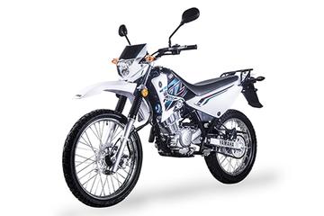Motorbike Rental