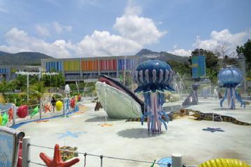 Palawan Waterpark admission and transportation
