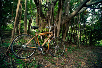 Green Bangkok Discovery Bike Tour
