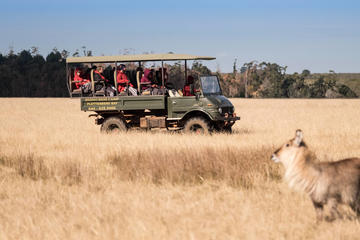 2-Hour Game Drive at the Plettenberg Bay Game Reserve