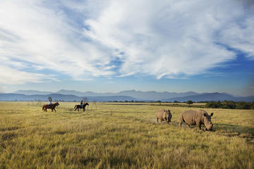 2-Hour Horse Safari at the Plettenberg Bay Game Reserve