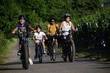 Moselle River Region eBike Rental from Kesten