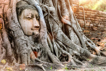 Ancient City Ayutthaya Private Guided Day Tour