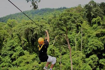 Pattaya Flight of the Gibbon Full Day Tour
