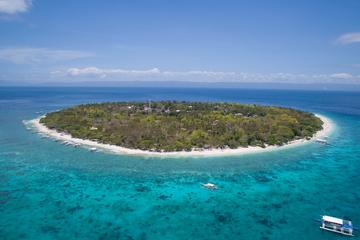Balicasag and Panglao Island Hopping Including Dolphin Watching