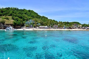Half-Day Snorkeling at Dumaguete Apo Island Including Lunch