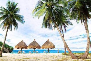 Pamilacan Island and Balicasag Island Day Trip from Tagbilaran City