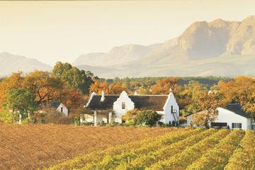 Half-Day Cape Winelands and Wine Tasting Tour from Cape Town