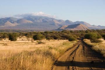 4 Days Tsavo West-East Amboseli Safari