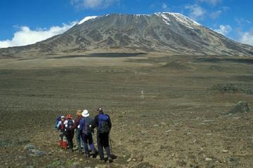 5 Day Mount Kenya Climb:Sirimon out Chogoria