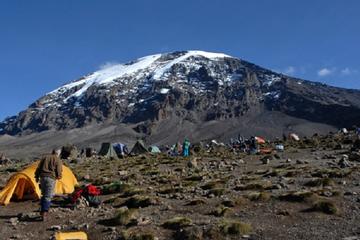 7-Night Kilimanjaro Climb via Marangu Route