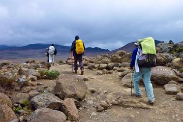 8-Day Kilimanjaro Climb Via Machame Route