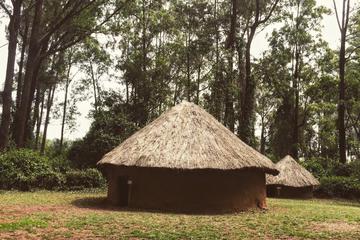 Bomas Of Kenya, Carnivore Restaurant Cultural Tour in Nairobi