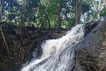 Karura Forest Half-Day Tour with Trail Bike Option from Nairobi