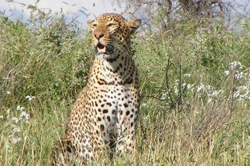 Sweetwaters and Ol Pejeta Conservancy: 2-Day Tour from Nairobi