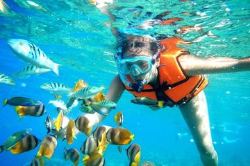 Snorkel Tour in Puerto Morelos from Cancun