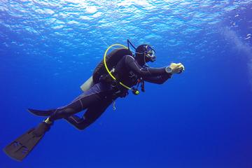 Take the Discover Scuba Diving Course in a few Hours
