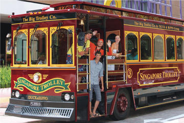 Classic Trolley City Tour (3 hrs) - Little India - Kampong Glam - Marina Bay