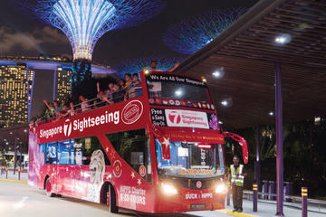 Moonlight Adventure: Gardens by the Bay-MBS SkyPark-River Cruise-Chinatown Food Street