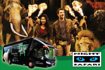 Night Safari With 2-Way Safari Gate City Transfer