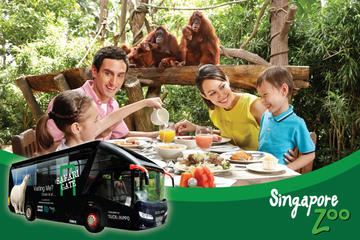 Zoo (Optional Breakfast with Orangutans) and 2-Way Safari Gate City Transfer