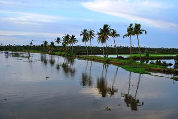 Authentic Island Village tour