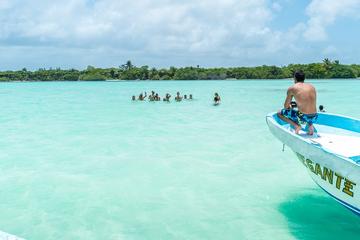Full-Day Guided Sian Ka'an Biosphere Safari from Cancun