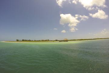 Holbox Island Tour from Cancun