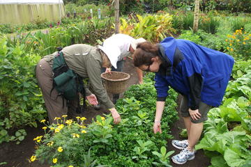 Private tour to Don Juan Educative and Organic Farm