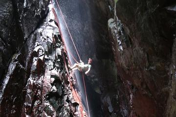 San Salvador Rainforest Ziplining and Rappelling
