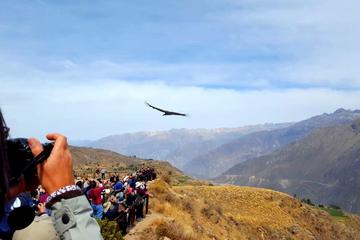 Colca Canyon 2 days 1 Night tour, All Inclusive