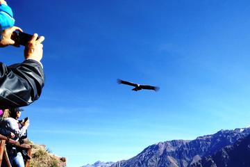 Colca Canyon 2 Days 1 Night with ending in Puno city