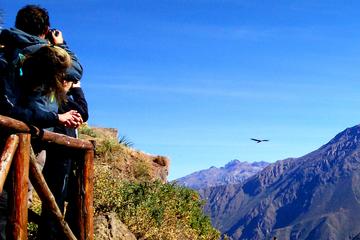 Colca Canyon Full day tour, All Inclusive