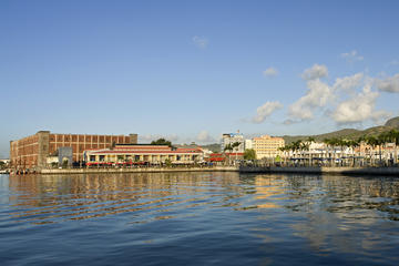 Historical Guided Day Tour: Botanical Gardens and Port Louis from Pamplemousses