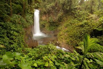 One Day Pass to La Paz Waterfall Gardens Nature Park and Wildlife Refuge