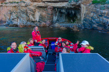 Dunsborough Jet Boat Sea Safari Along Cape Naturaliste Coast
