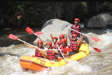 white water rafting, Cat coffee and Monkey forest ubud Tour