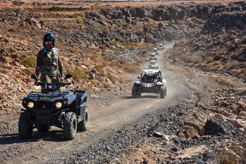 Dune Buggy Fuerteventura Off Road Excursions