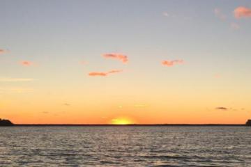 1.5-Hour St Johns River Sunset Safari Cruise from St Augustine
