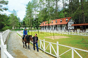 2-Hour Leisure Horse Riding Tour at Bukit Tinggi Berjaya Hills Including Selangor Pewter Tour